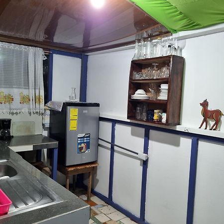 Wildlife Art Tortuguero Hotel Exterior photo