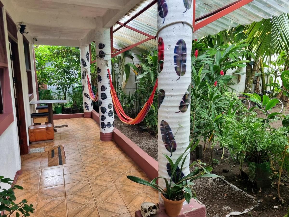 Wildlife Art Tortuguero Hotel Exterior photo