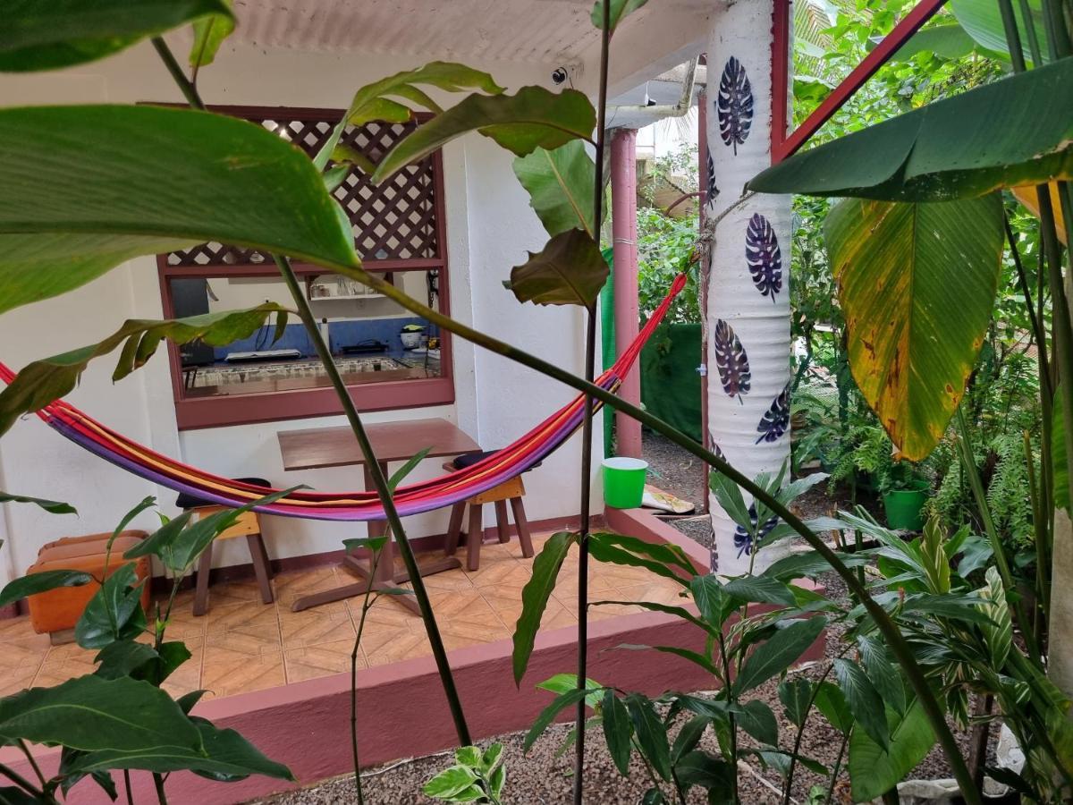 Wildlife Art Tortuguero Hotel Exterior photo