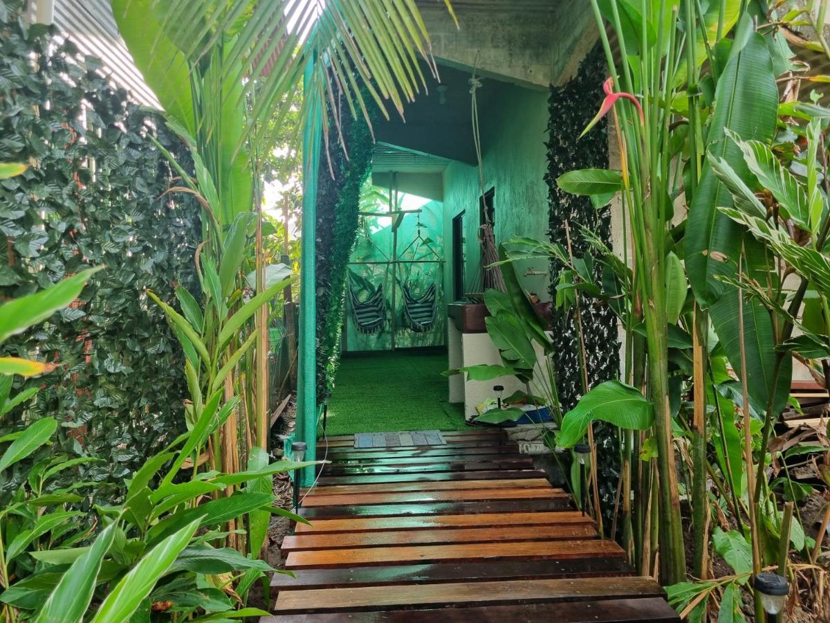 Wildlife Art Tortuguero Hotel Exterior photo