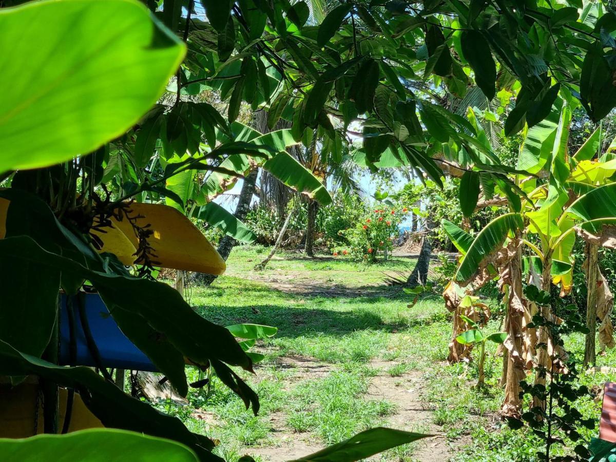 Wildlife Art Tortuguero Hotel Exterior photo