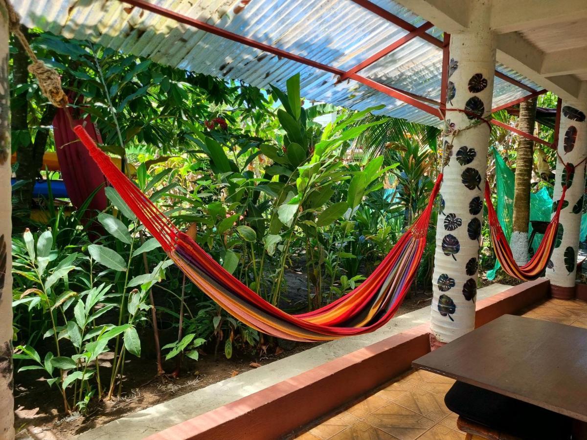 Wildlife Art Tortuguero Hotel Exterior photo