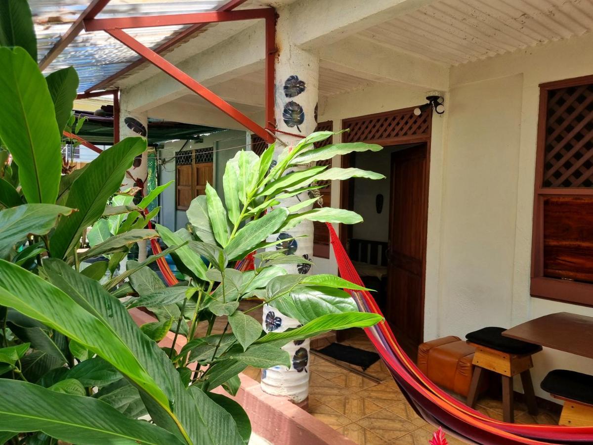 Wildlife Art Tortuguero Hotel Exterior photo