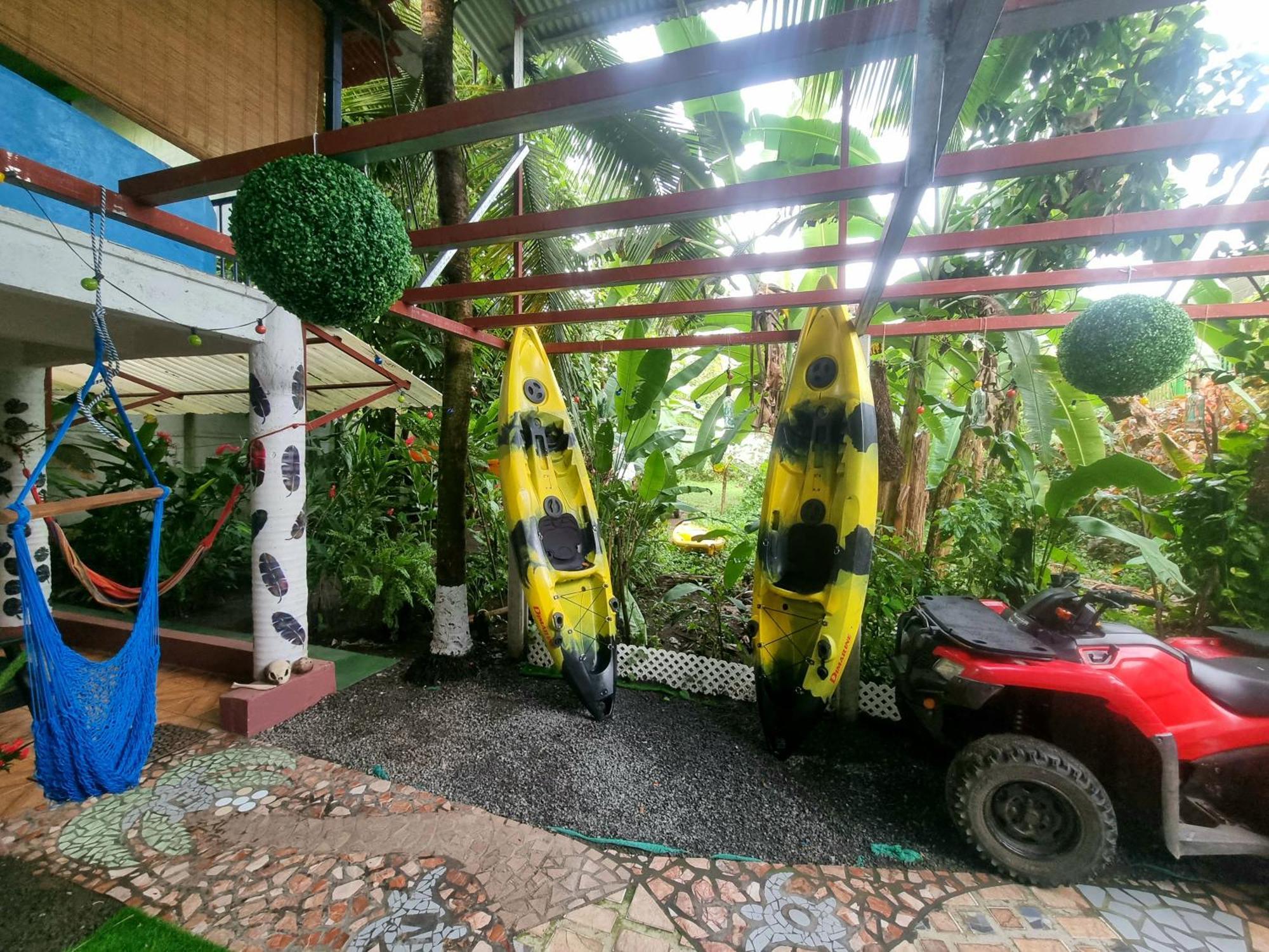 Wildlife Art Tortuguero Hotel Exterior photo