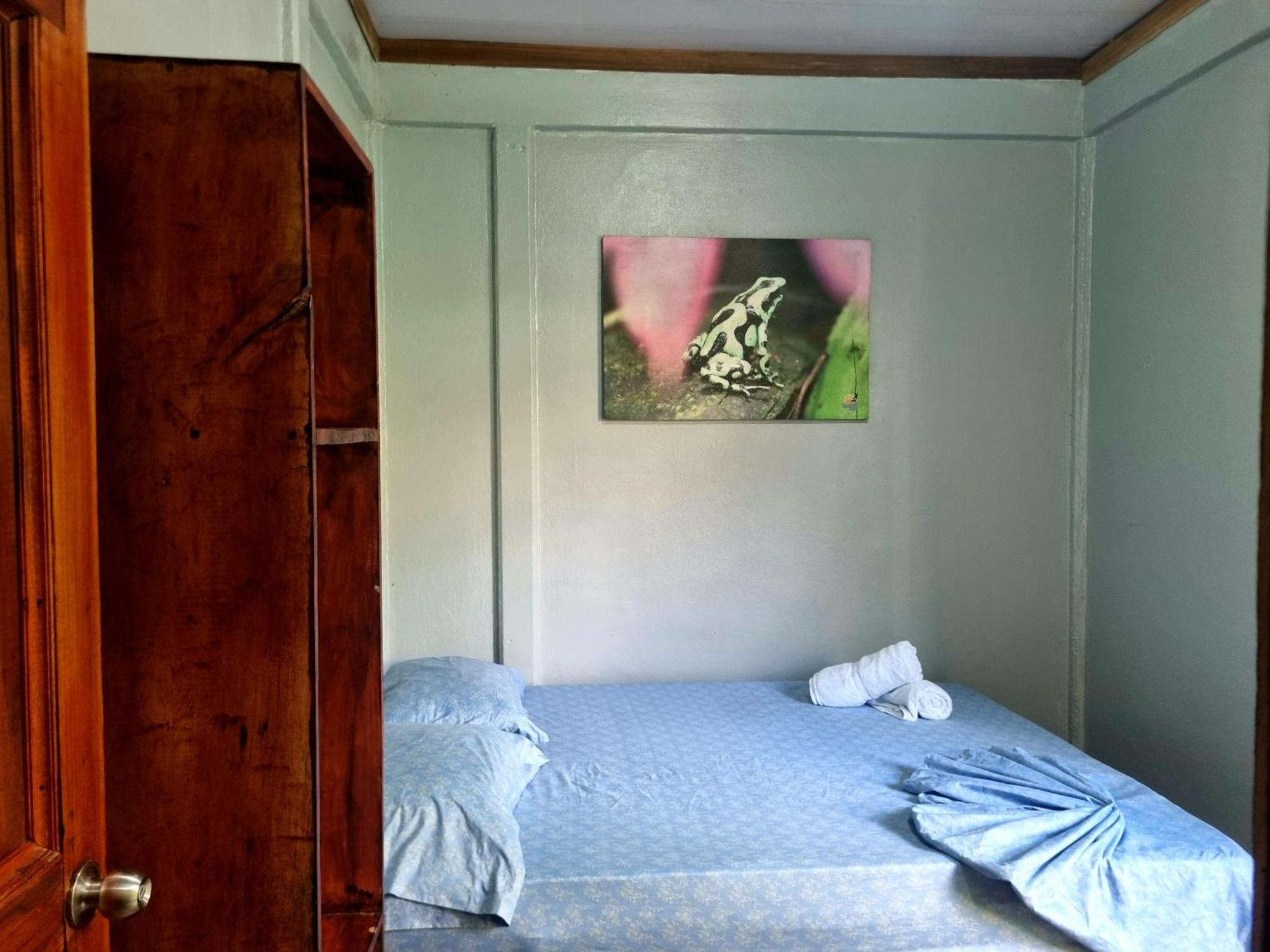 Wildlife Art Tortuguero Hotel Exterior photo