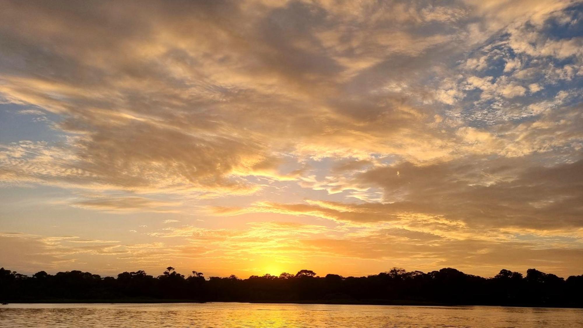 Wildlife Art Tortuguero Hotel Exterior photo