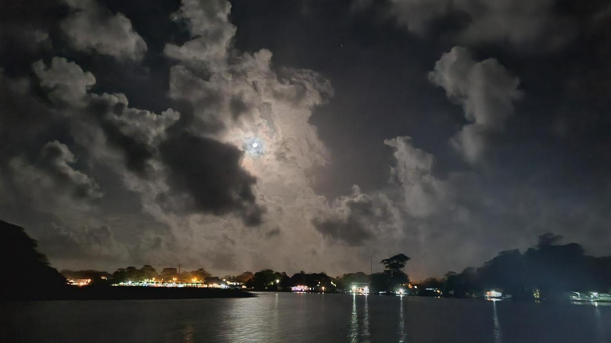 Wildlife Art Tortuguero Hotel Exterior photo