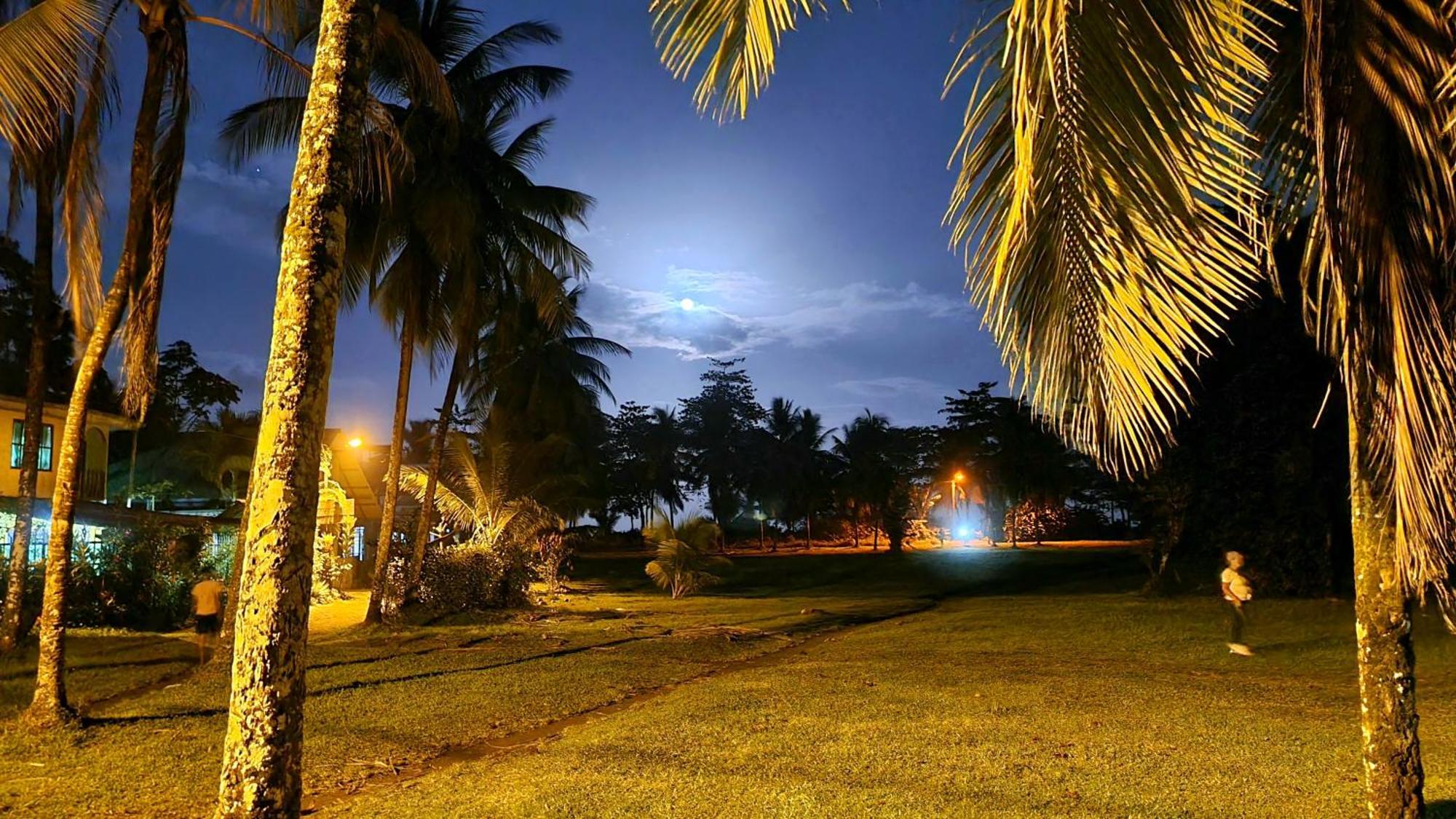Wildlife Art Tortuguero Hotel Exterior photo